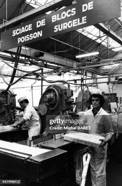 Découpe de blocs de poisson surgelé dans une usine Findus en France, en 1986.