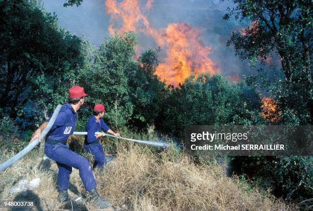 Pompiers intervenant sur un incendie de forêt en Corse, en août 1982, France.