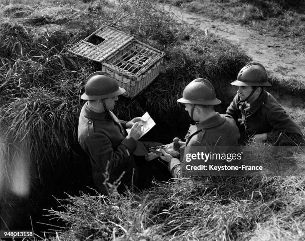 Armée française des membres d'une compagnie colombophile du 8e régiment de transmission dans une tranchée, en France en 1940.