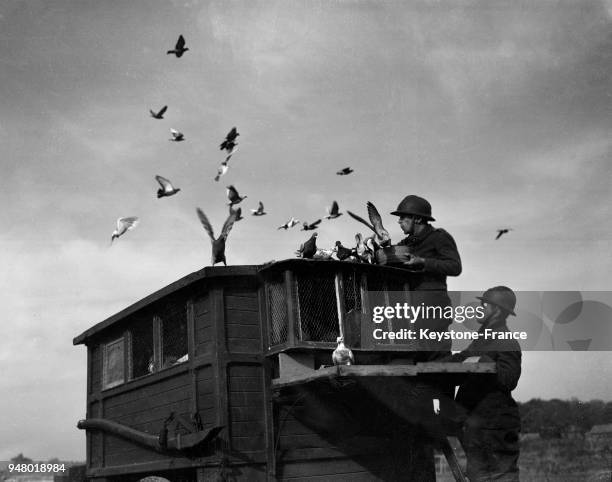 Armée française des membres d'une compagnie colombophile du 8e régiment de transmission dans une tranchée, en France en 1940.