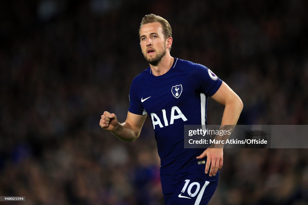 Brighton and Hove Albion v Tottenham Hotspur - Premier League