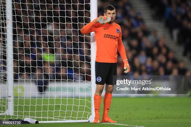 Matthew Ryan of Brighton and Hove Albion during the Premier League match between Brighton and Hove Albion and Tottenham Hotspur at Amex Stadium on...