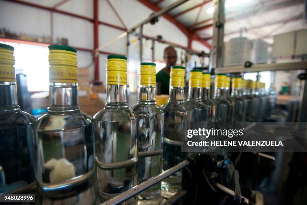 Worker controls the bottle labelling machine at the Bologne Rum Distillery in Basse-Terre, in the French overseas territory of Guadeloupe, on April...