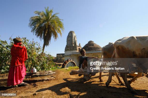 The village of Ranakpur. A water well, called "noria", in the village of Ranakpur in Rajasthan on February 24, 2017 in India.