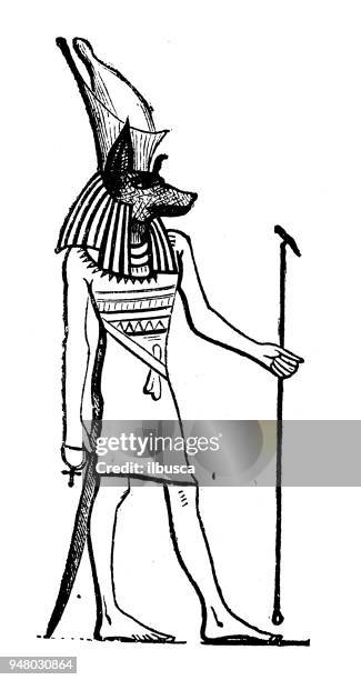 illustrations, cliparts, dessins animés et icônes de ancienne gravure illustration : anubis - anubis