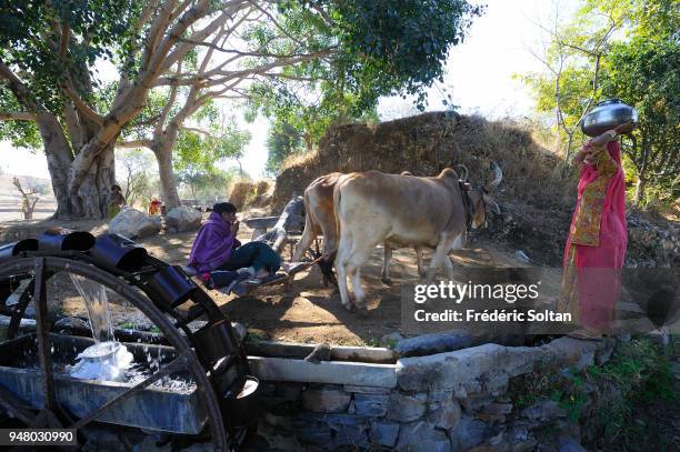 The village of Ranakpur. A water well, called "noria", in the village of Ranakpur in Rajasthan on February 24, 2017 in India.