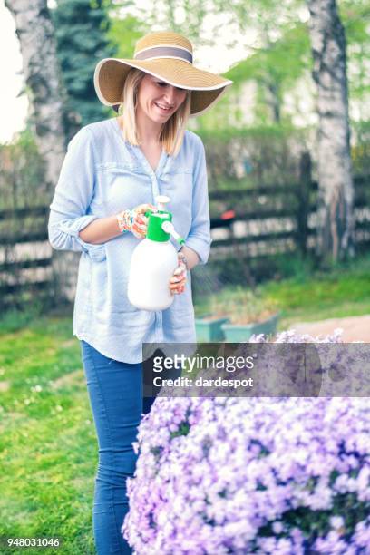 woman spraying flowers in the garden - crushed leaves stock pictures, royalty-free photos & images
