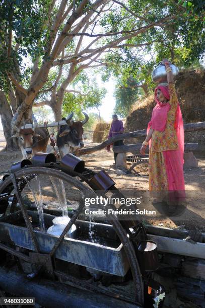 The village of Ranakpur. A water well, called "noria", in the village of Ranakpur in Rajasthan on February 24, 2017 in India.