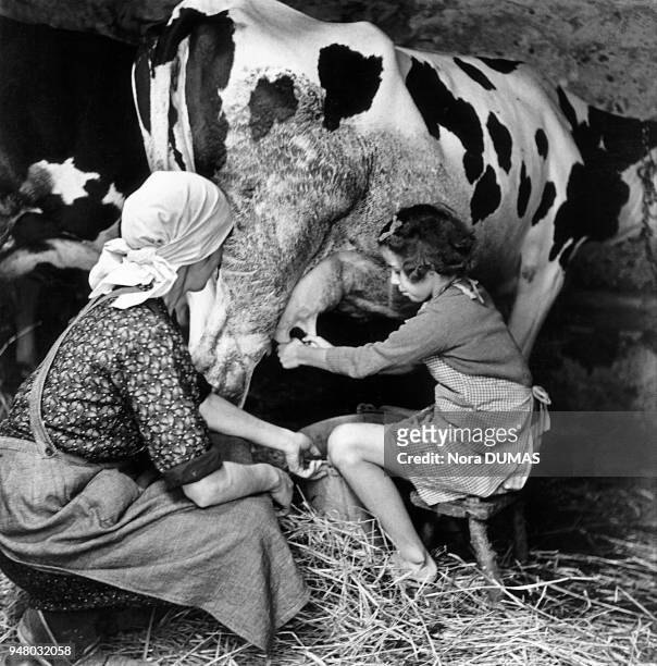 Farm woman and her daughter milk a cow, circa 1930. Une agricultrice et sa fille traient une vache, vers 1930.