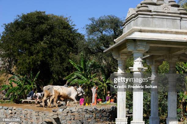 The village of Ranakpur. A water well, called "noria", in the village of Ranakpur in Rajasthan on February 24, 2017 in India.