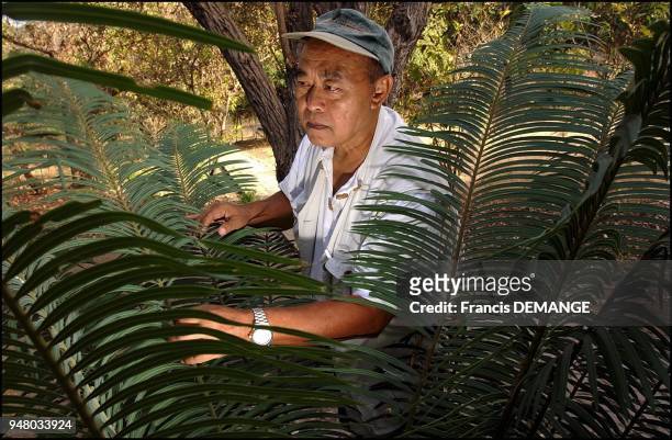 Putra Sastrawan in the middle of a Cycad, a gymnospermic plant dating back to the Tertiary, a time period during which the Varanus genre emerged,...