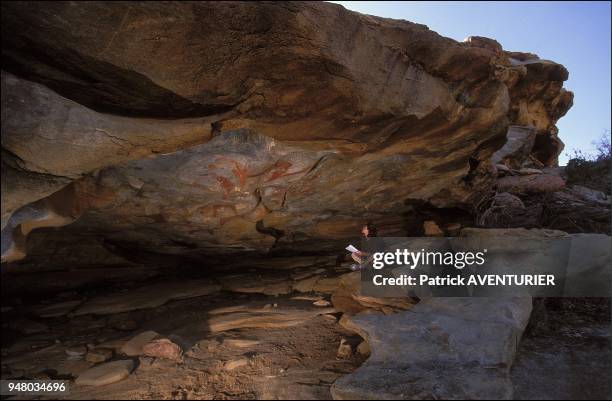 Muriel Richard, archaeology student in Montpellier, studies the anthropomorphic figures in shelter n¡1. She has listed over one hundred of them. The...