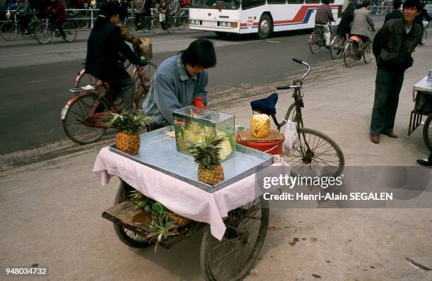 Small vendor Xi'an: petit marchand .