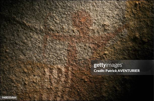 Details of the rupestral paintings of shelter n¡1. They offer an illustration of the Las Geel style: cows are drawn from the side, have no bump on...