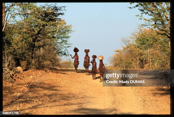 The mountains of the Kaokoland, in the North-west of Namibia are a real wild bastion. The himbas, a people of nomadic shepherds live there for more...