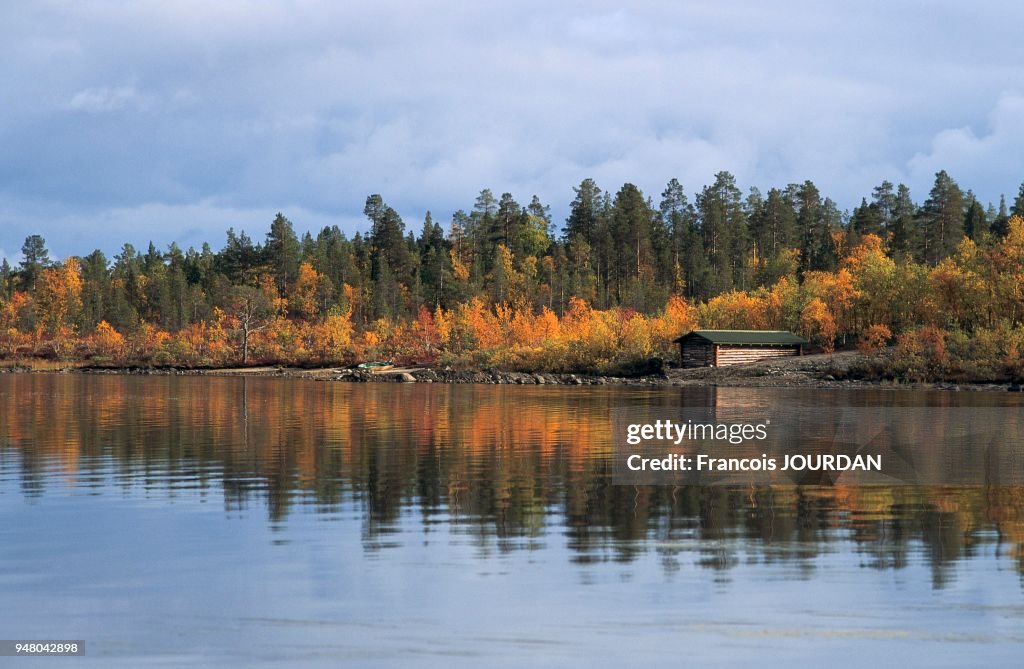 RUSKA', PENINSULE DE LUSMANIEMI-INARI, LAPONIE, FINLANDE