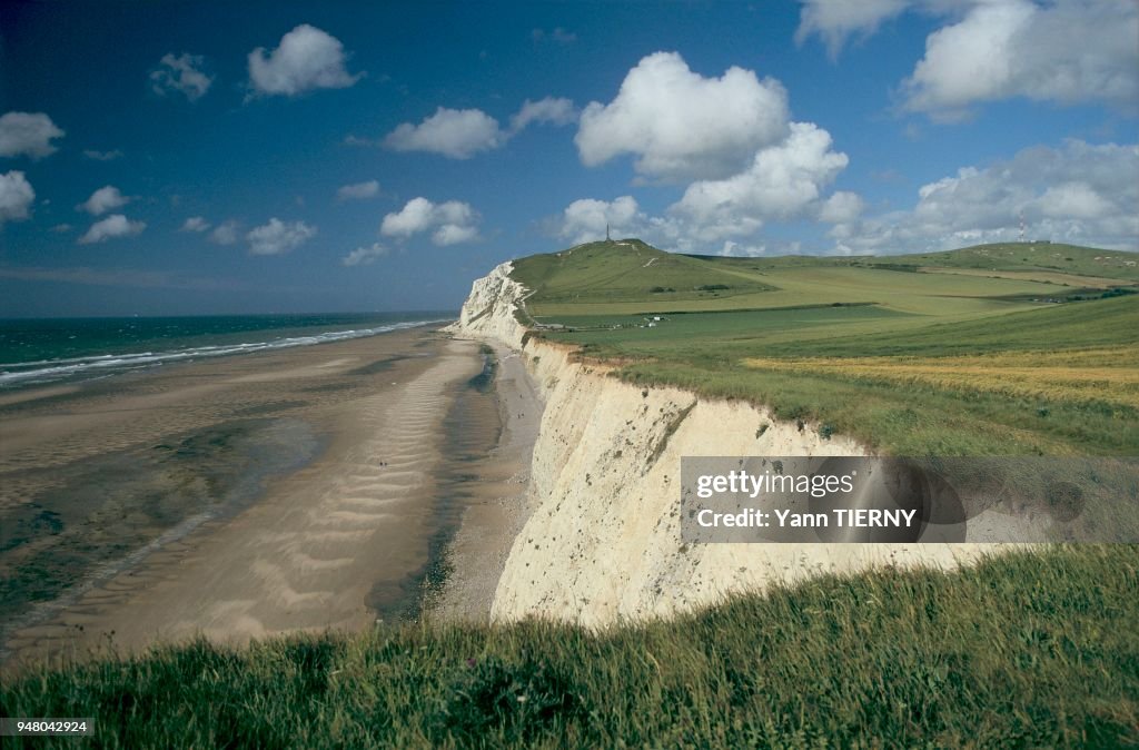 FALAISES DU CAP BLANC NEZ, COTE D'OPALE, PAS-DE-CALAIS, FRANCE