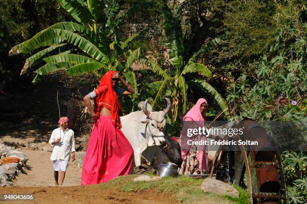 The village of Ranakpur. A water well, called "noria", in the village of Ranakpur in Rajasthan on February 24, 2017 in India.