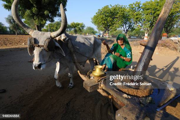Village of shepherds and farmers near Ranakpur in Rajasthan on February 24, 2017 in India.