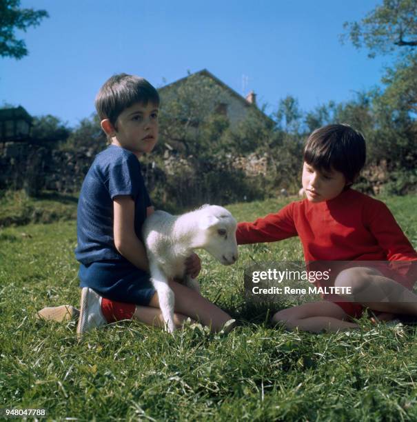 Enfants jouant avec un agneau, circa 1970.