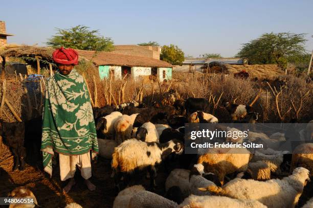 Bisham Rabari 513 Rabari Stock Photos, High-Res Pictures, and Images - Getty Images