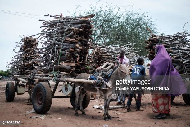 Firewood are piled up on a donkey-pulled carts to be sold at the Dadaab refugee complex, northeastern Kenya, on April 18, 2018. - Dadaab is one of...