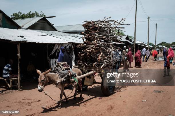 Donkey pulls a cart loaded with firewood at the Dadaab refugee complex, northeastern Kenya, on April 18, 2018. - Dadaab is one of the biggest refugee...