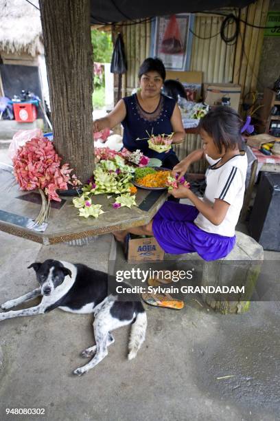 PREPARATION DES OFFRANDES VEGETALES AUX DIEUX QUE CHACUN DOIT EFFECTUER CHAQUE JOUR, ODALAN D'UN TEMPLE DE SUKAWATI, ILE DE BALI, INDONESIE.