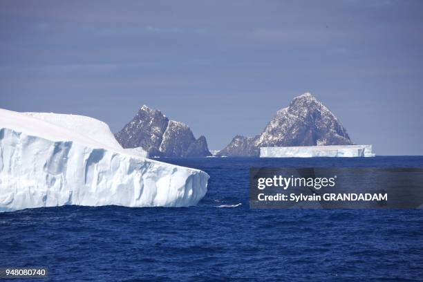 Antarctica, cruise on Boreal ship under Captain Etienne Garcia autority, orcades islands in the Wedell Sea.