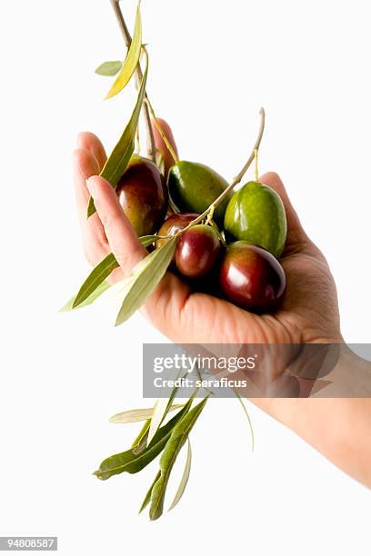 handful of olives - palm oil stockfoto's en -beelden