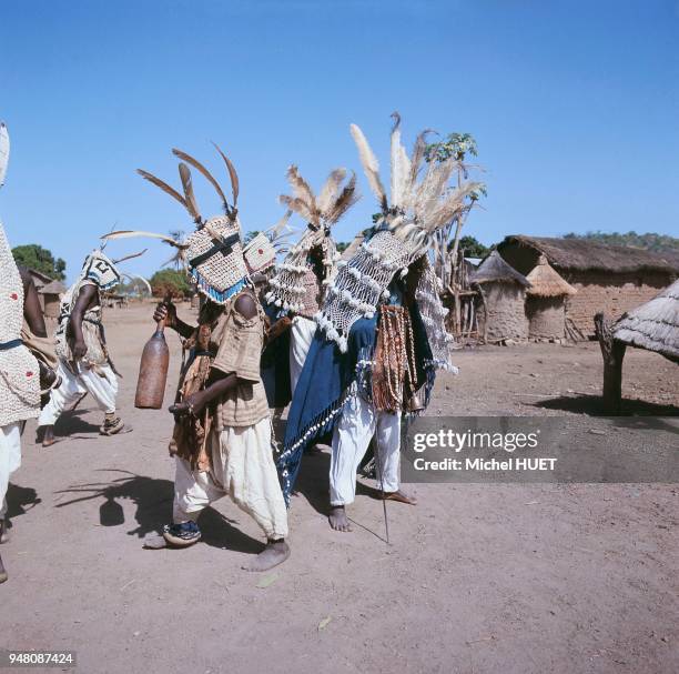 Des initiés sénoufo de la deuxième classe d'âge - coiffés de leur cimier de perles, de cauris et d'un bec de calao - se rendent à la place du village...