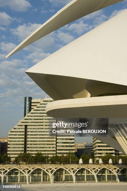 PALAIS DES ARTS DANS LA CITE DES ARTS ET SCIENCES, VALENCE, ESPAGNE.