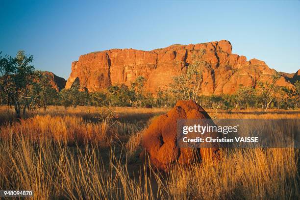 Bungle Bungle sur le plateau de Kimberley, Australie.
