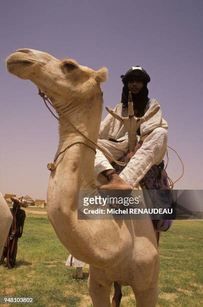 Niger, Homme sur un chameau.