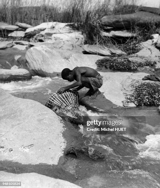 Un pêcheur utilise un panier pour attraper le poisson au Zaïre vers 1950-1960 Un pêcheur utilise un panier pour attraper le poisson au Zaïre vers...