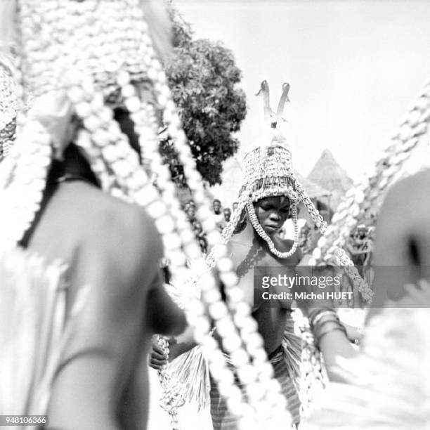 La sortie du rite initiatique des filles sénoufo, remarquables à ce qu'elles portent des casques et des longues chaînes de cauris dans la région de...