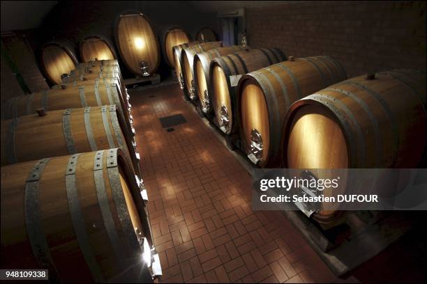 The cellar at Schloss Monrepos near Stuttgart. The Wurtemberg family has been growing red and white wine for a century.