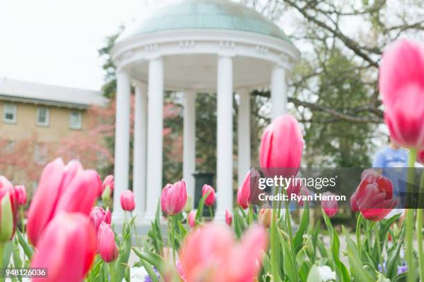 unc-chapel hill alt gut im frühjahr - chapel hill campus der universität north carolina stock-fotos und bilder