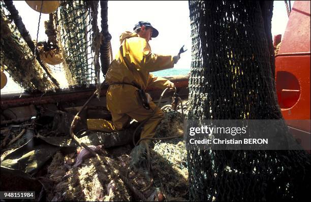 Mick, the engineer, readies the trawling net before lowering it.