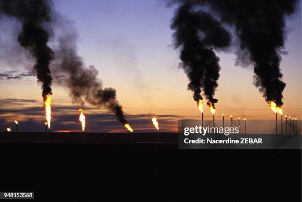 Hassi Riders 536 Hassi Stock Photos, High-Res Pictures, and Images - Getty Images