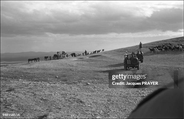 The commando control a shepherd group in the Djebel.