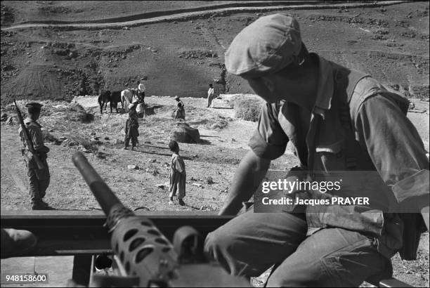 Harvest in small Kabylie-Bou Arreridj under army protection.