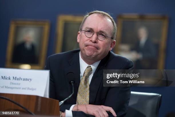 Office of Management and Budget Director Mick Mulvaney testifies before a House Appropriations Financial Services and General Government Subcommittee...