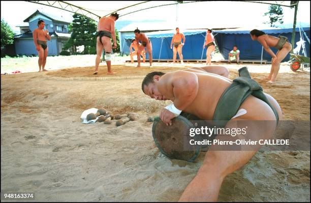 Sumo-tori does body building exercises during the daily training session . Besides gaining weight, the wrestlers must also develop their muscle mass...