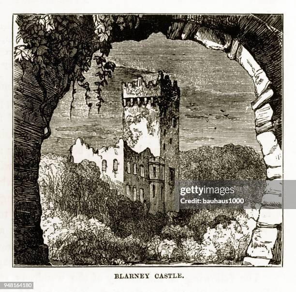 cork, blarney castle, county cork, ireland victorian engraving, 1840 - kissing the blarney stone stock illustrations