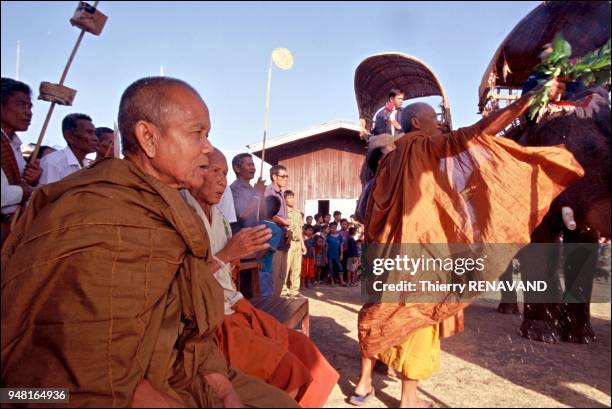 Elephant Welcome Ritual 224 Elephant Blessing Ceremony Stock Photos, High-Res Pictures, and ...