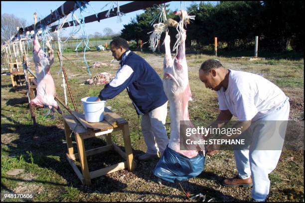 Preparation of "Aid El Kebir" feast in Maurin.