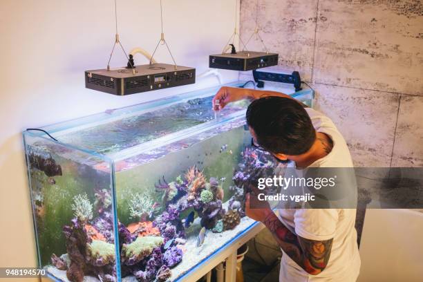 reef tank maintenance - accessoires stock pictures, royalty-free photos & images