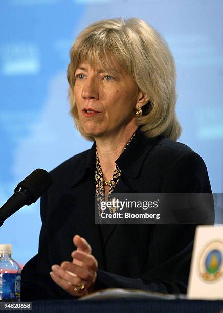 Secretary of The Interior Gale speaks during a news briefing in Washington, D.C., March 20 on the combined efforts of three federal agencies to deal...