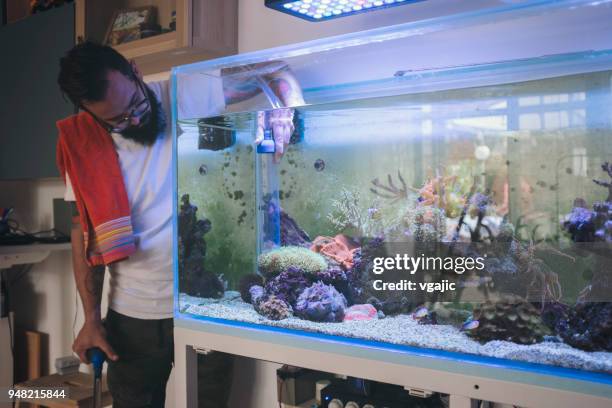 rif tank onderhoud - the aquarium of sao paulo stockfoto's en -beelden